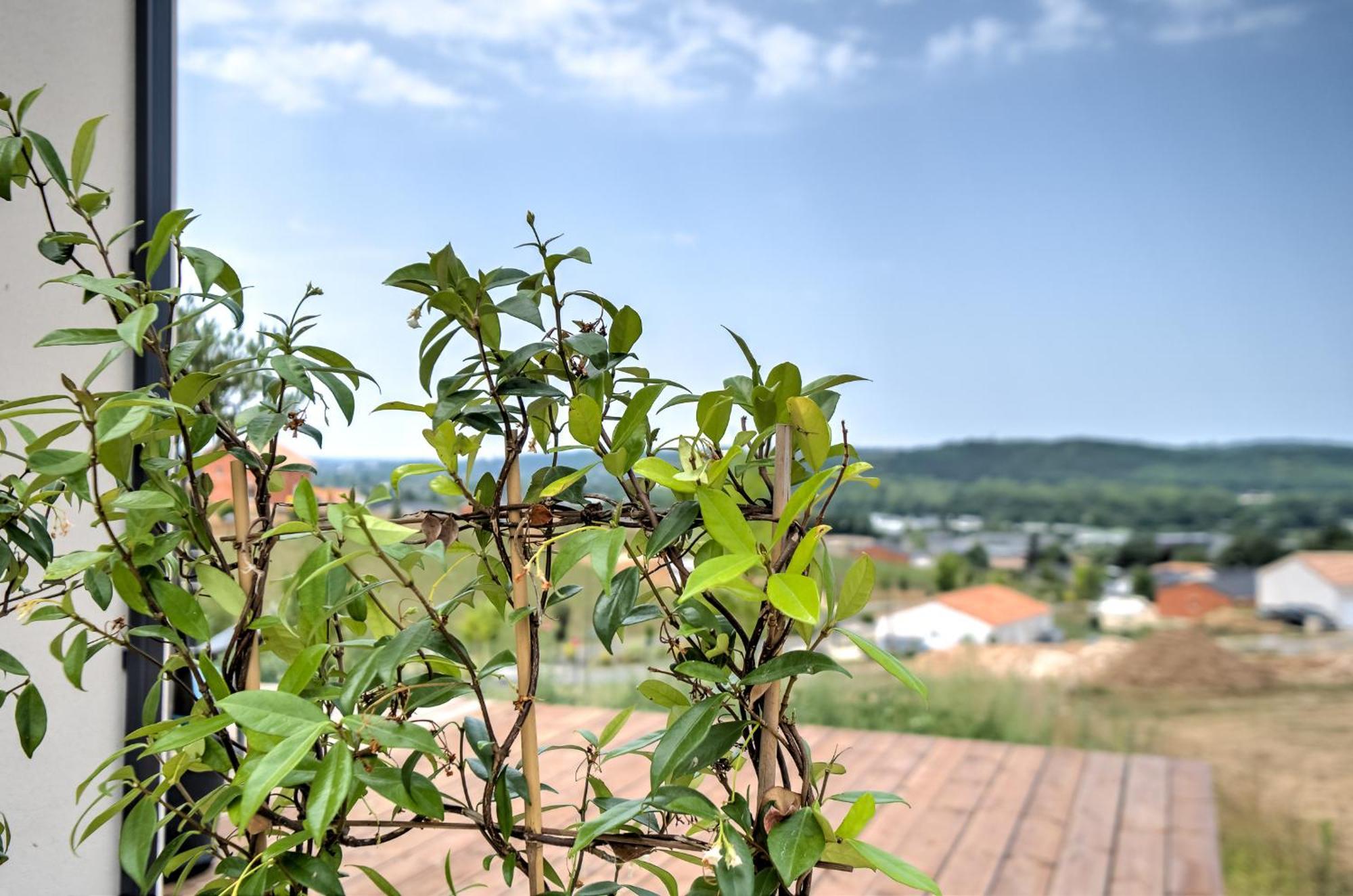 L'Elegante Confort, Clim & Vue Imprenable Bassillac Buitenkant foto